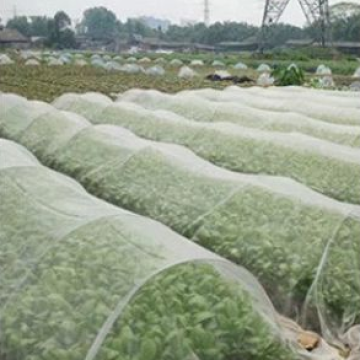 UV resistir à prova de insetos de insetos agrícolas líquidos de insetos 65gsm