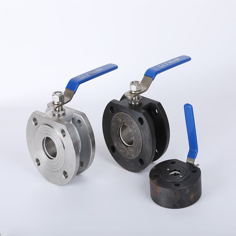 Wafer Check Valve-1 (1)