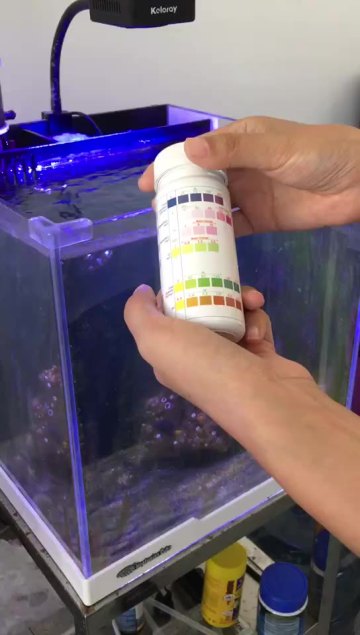 6-way aquarium sea salt test strips