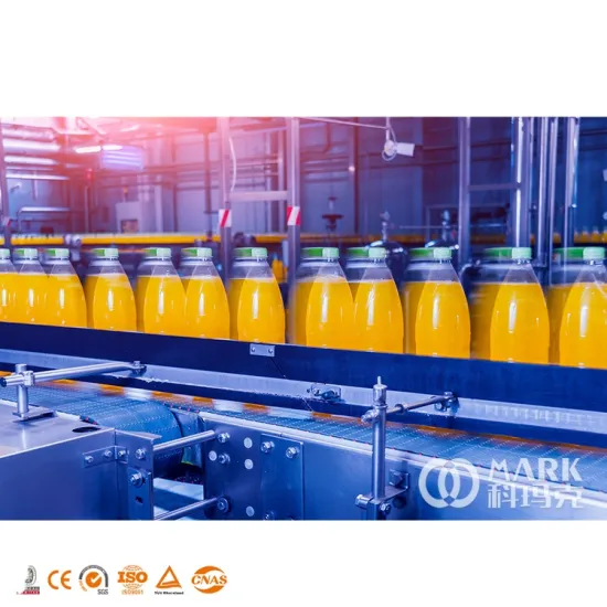 500ml Plastic Bottle Juice Filling Machine for Production Line