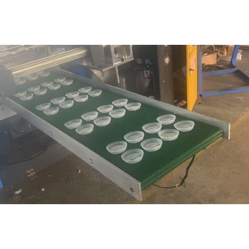 máquina plástica da termoformagem 450A