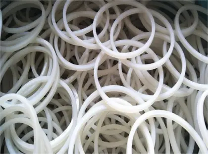 Nylon Gaskets Seals O-Rings