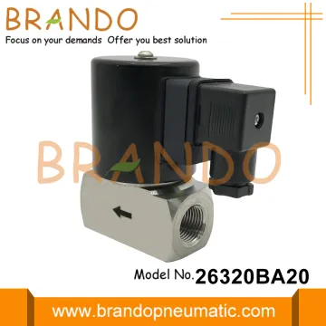 3/4'' Stainless Steel Steam Solenoid Valve 110VAC 220VAC