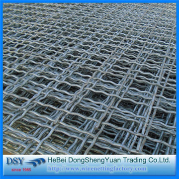 Top Quality Square Decorative Crimpe Wire Mesh