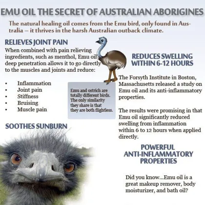 Supply Pure Ostrich Oil Ostrich Fat Oil Ostrich Extract Emu oil For Skin Care