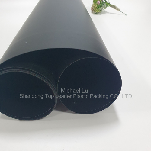 0.8mm black pp sheet for thermoforming bottom tray