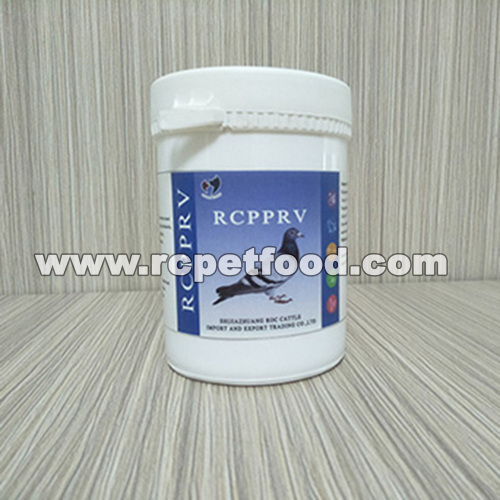 pigeon care and feeding