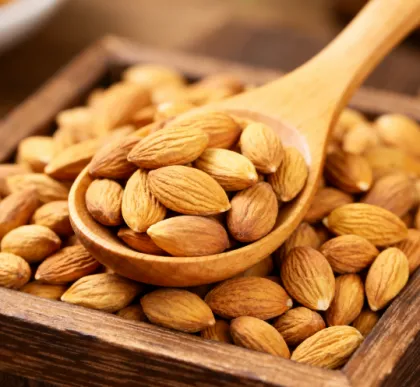 Semen pruni extract powder natural