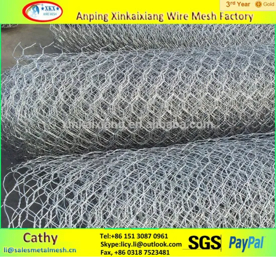 High quality 1/2" protection Hexagonal diamond mesh net made in China