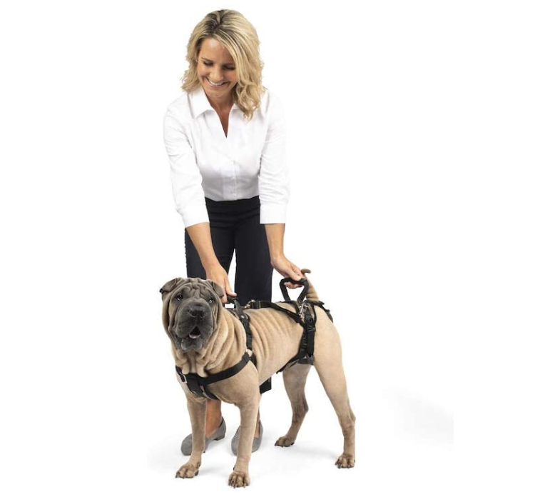 Full Body Dog Harness