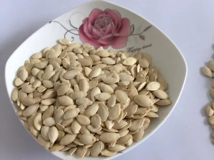 China inner mongolia wholesale shine skin pumpkin seeds