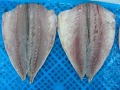 Frozen Mackerel Flaps OEM Ukuran 150-200 200-300g