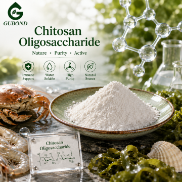 Chitosan Oligosaccharide for Plant and Soil Applications