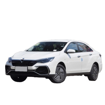 Dongfeng Nissan Venucia D60EV 2023 Plus