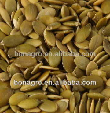 Pumpkin seeds kernels A grade
