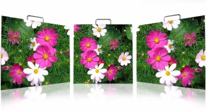 New Technology Customized Pixel Pitch Small LED Display