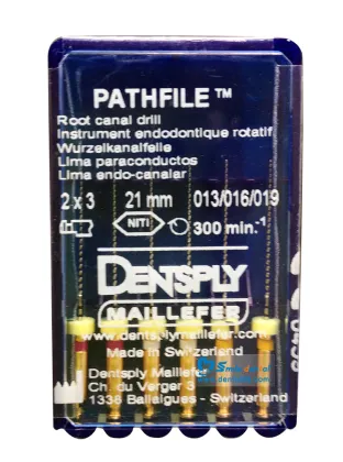 Dentsply Maillefer Pathfile