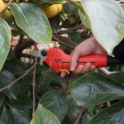 Best Electric Pruners for Orchards: Li Battery Garden Tools