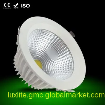 30W  White  COB cool daylight  Capri Lighting