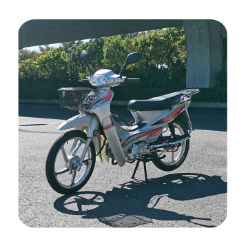Brandstofefficiënte 125cc power-assisted scooter met gebogen balk en ZS-motor