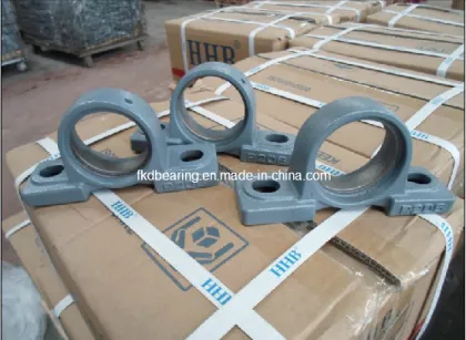 The Housing of Bearing Fkd Fe Hhb