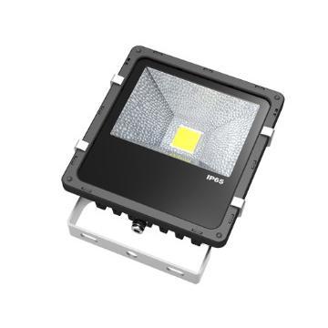 LED Floodlight 10W Bridgelux  Source IP65