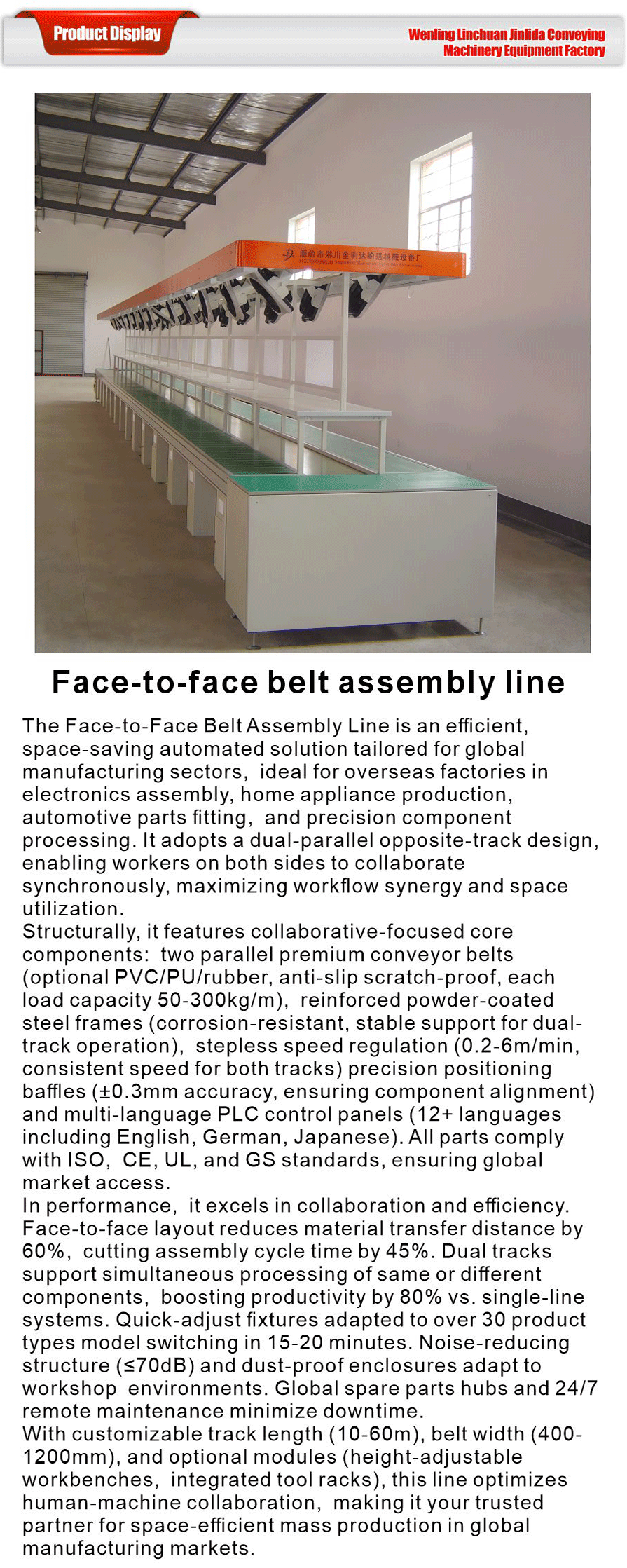 Belt Conveyor Line-xiangqing1-JLD072