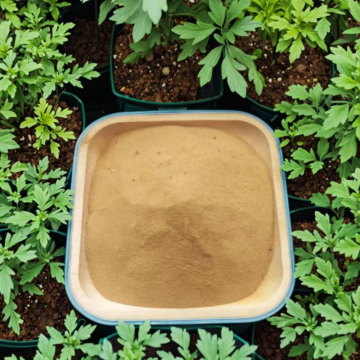 Plant Organic Fertilizer CSL Powder 42% for Farming