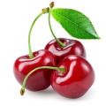 Hot sale and free sample for cherry extract