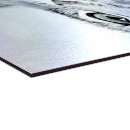 Aluminium Composite Panel Advantages Printing