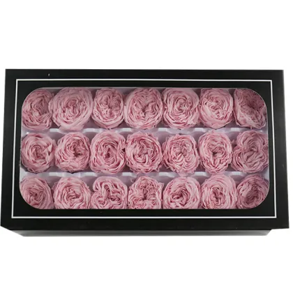 Wholesale Long-Lasting Austin Preserved Roses - Eternelle Eternal Flowers