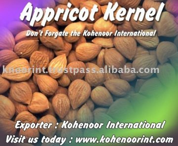 Apricot Kernel