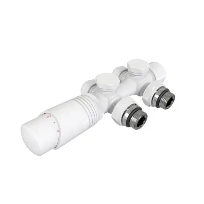 Thermostatic Radiator Valve Multiblock BJ13003: Ideal HVAC System Component for Bathroom Radiators