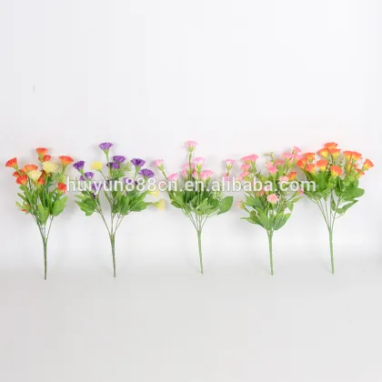 Wholesale high quality fresh cut flowers Carnation flowers for wedding