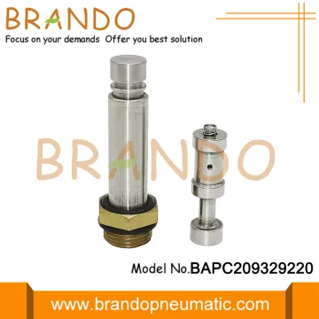 LPG CNG Injector Rail Solenoid Armature Plunger Repair Kit