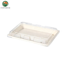 Disposable Natural Biodegradable Sugarcane Pulp Container