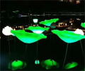 Simulation Lotus Feuilles Lumières