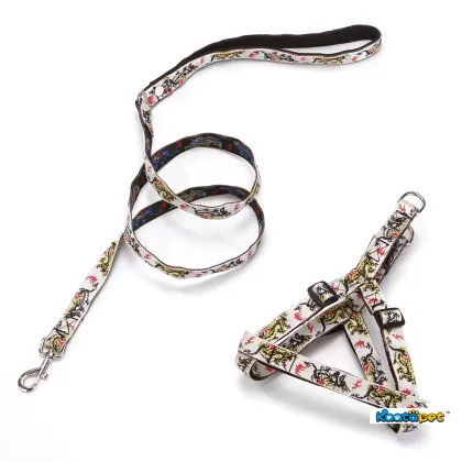 Kaatapet Fiery Dragon Series Dog Traction Dog Leashes