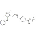 펜 클로 므밀 (Fenpyroximate) CAS 134098-61-6