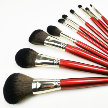 10PC Make-up Pinsel Kollektion für Anfänger