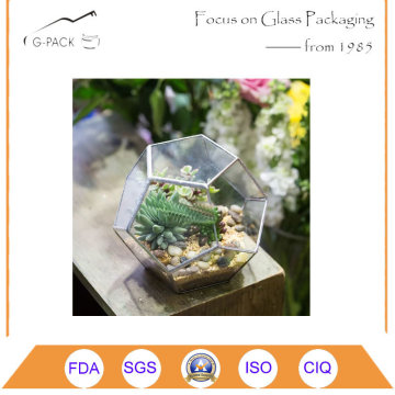Geometric Pentagon Ball Shape Plants Glass Terrarium Planter