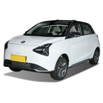Energy-Saving Electric Vehicle EVH Bliss 01 - 5 Door 4 Seat Hatchback
