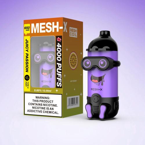 MESH-X Rechargeable Disposable Vape Kit 4000 Puffs