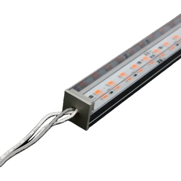 2023 Hot Sales Full Spectrum 5630 Waterproof Strip Plant LED Grow Light for Green Leaf Vegetables (Lettuce) - 24V, 144 LED/m Profile