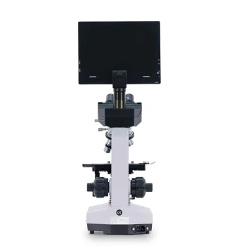 YSXWJ2310 Medical Binocular Microscope - Germ Digital Scanning Electron Microscope Price
