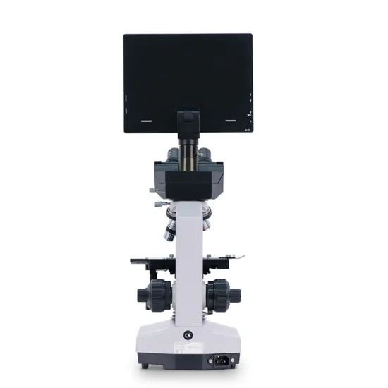 YSXWJ2310 Medical Binocular Microscope - Germ Digital Scanning Electron Microscope Price