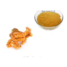 Bulk Best Price Curcumin 95% Extract Powder