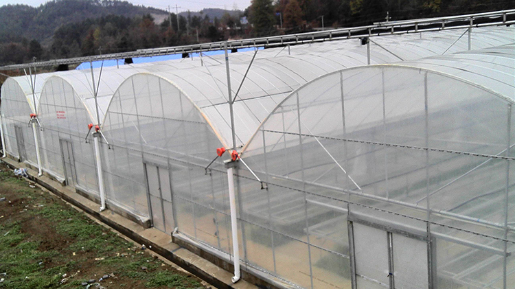 Multi-span Greenhouse