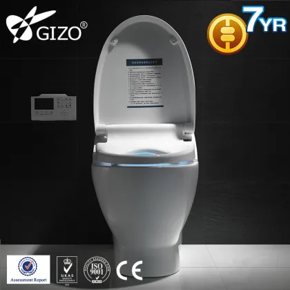 Sanitary Ware ceramic WC Smart Toilet
