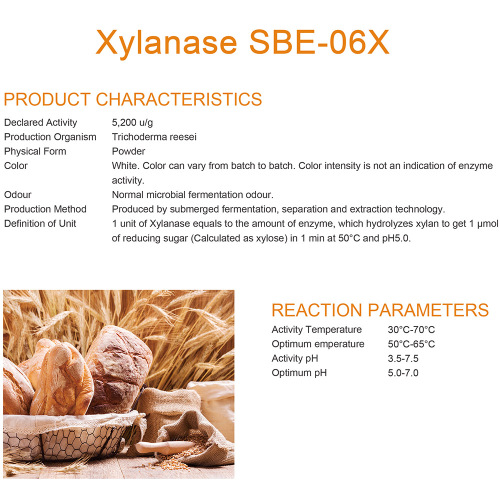 Baking Xylanase for baking